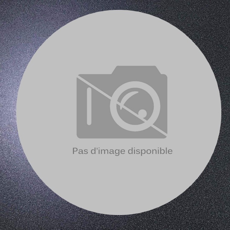 Cliquez pour agrandir...